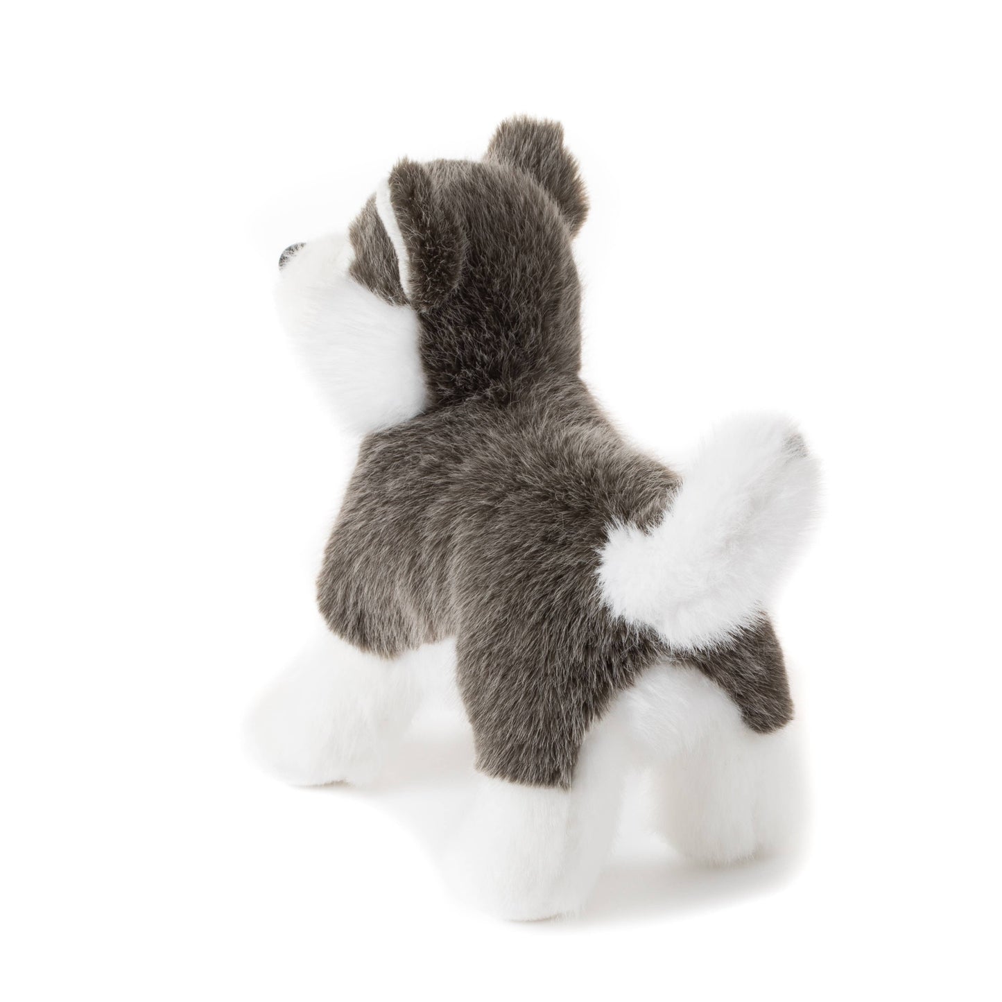 The Petting Zoo -  New Husky Dog Small 8" (20cm)