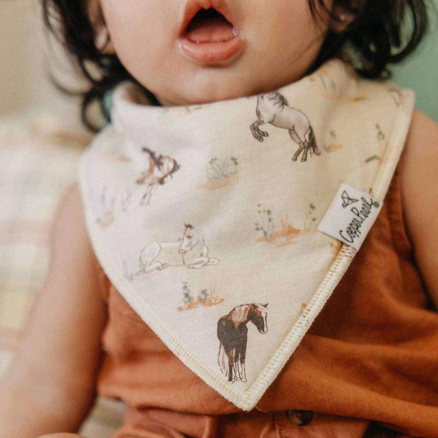 Copper Pearl - 4 Pack Baby Bandana Bibs - Cheyenne