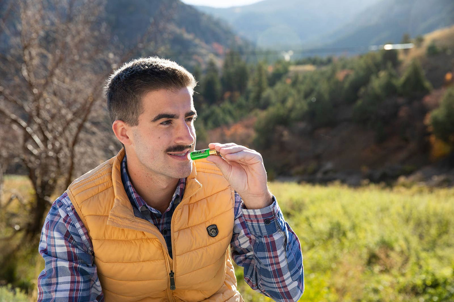 BALMSHOT Lip Balm - Cool Mint Beeswax Lip Balm