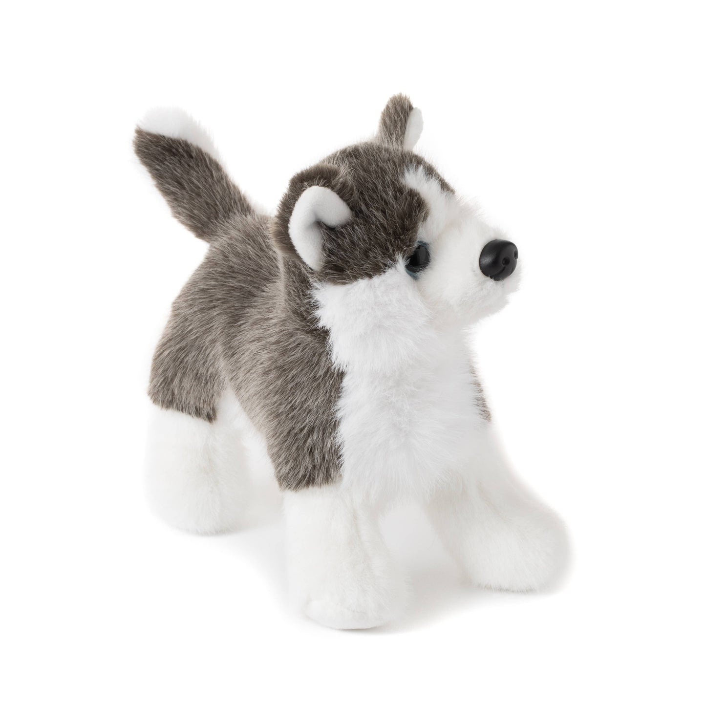 The Petting Zoo -  New Husky Dog Small 8" (20cm)