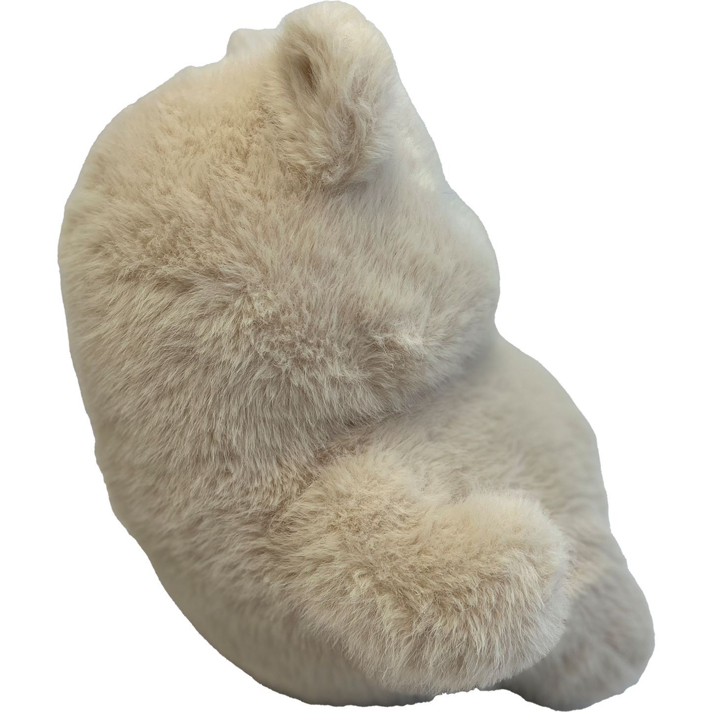 Chunka Dunkas Bear
