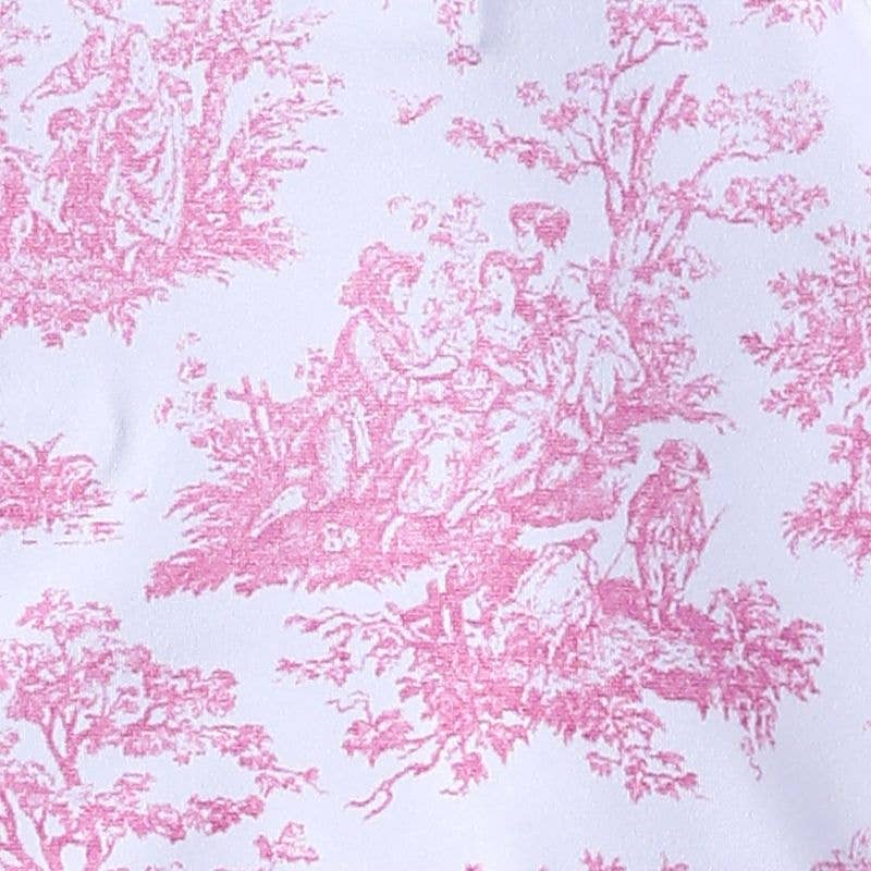 Pink Toile Blanket