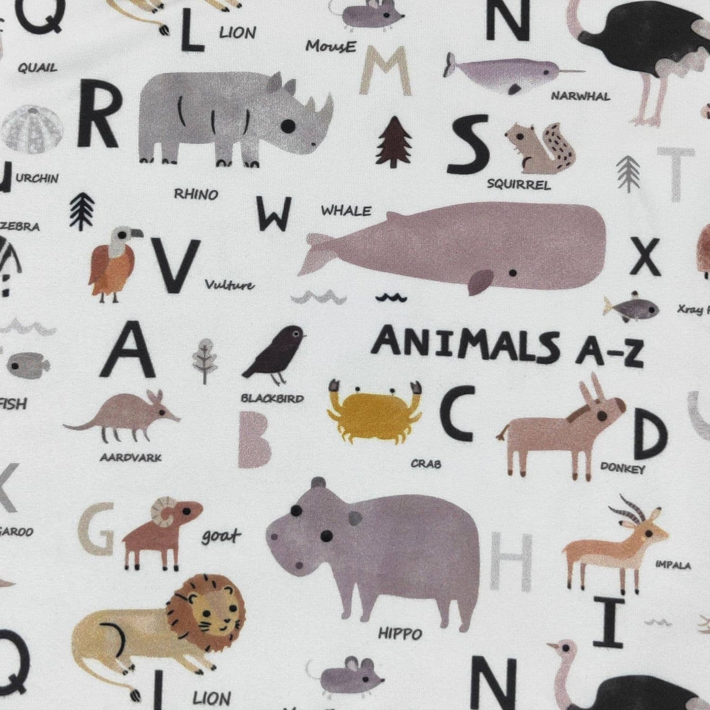 Animal Alphabet Boy Romper