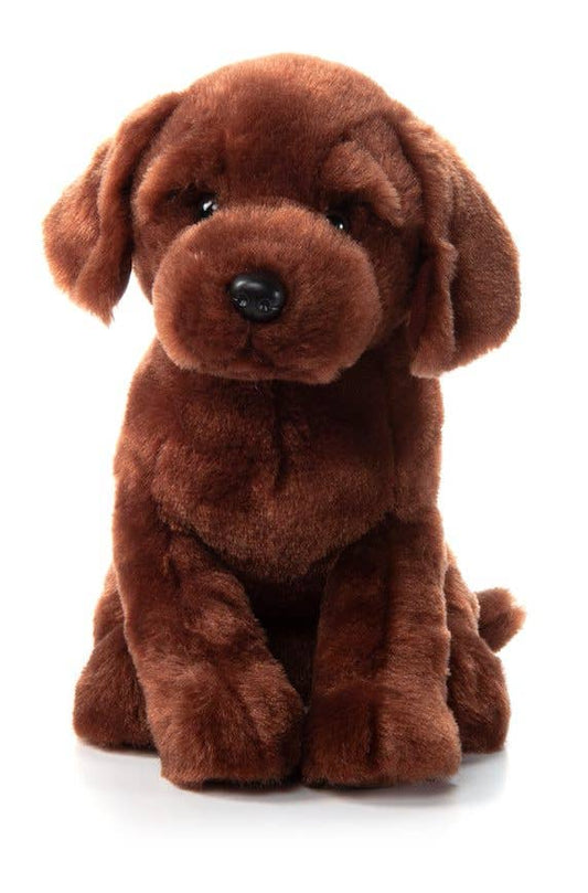 12"Labrador Chocolate Dog